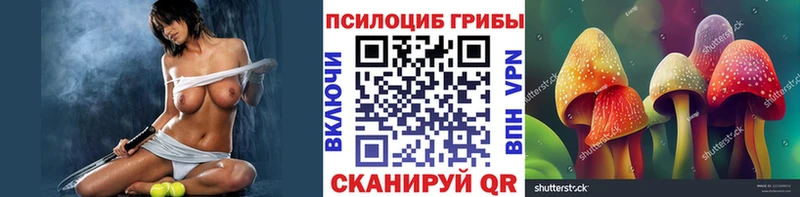 Галлюциногенные грибы Psilocybe  Купить  Дмитровск 